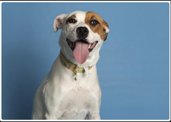 Friday 10.05.59 AM